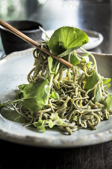 Chopsticks lifting soba salad noodles