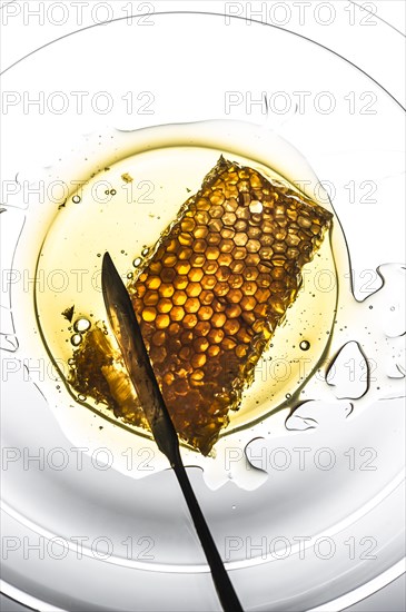 Honeycomb in bowl