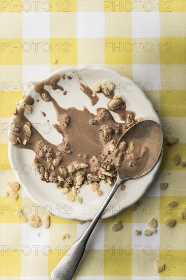 Melted chocolate ice cream on spoon with cereal