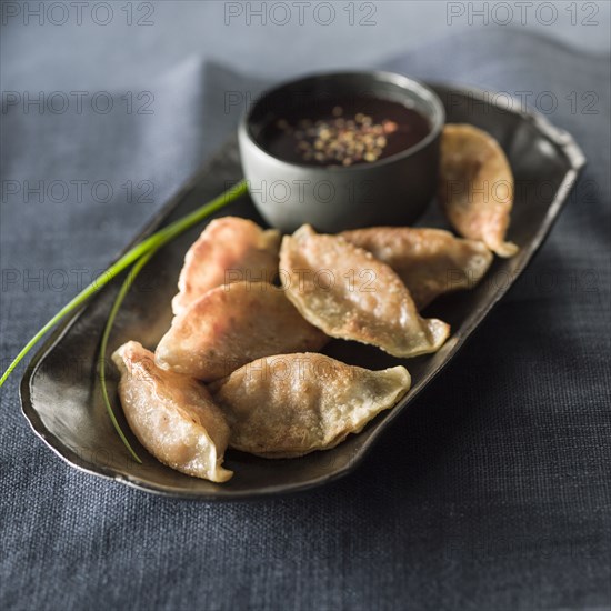 Pot stickers and sauce on tray