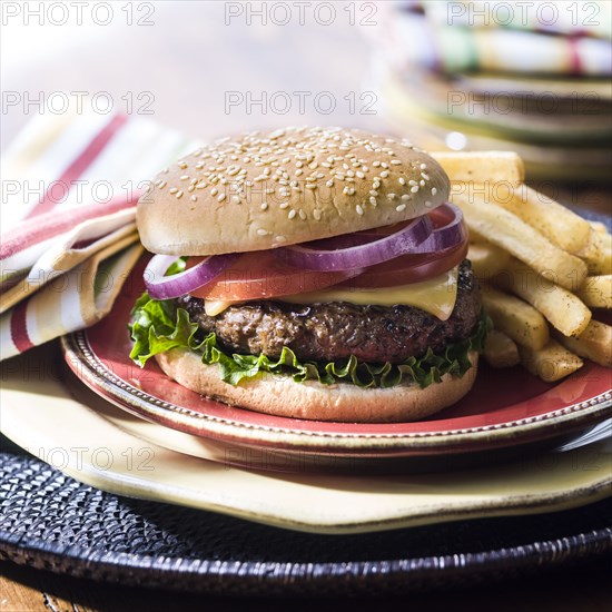 Cheeseburger with french fries