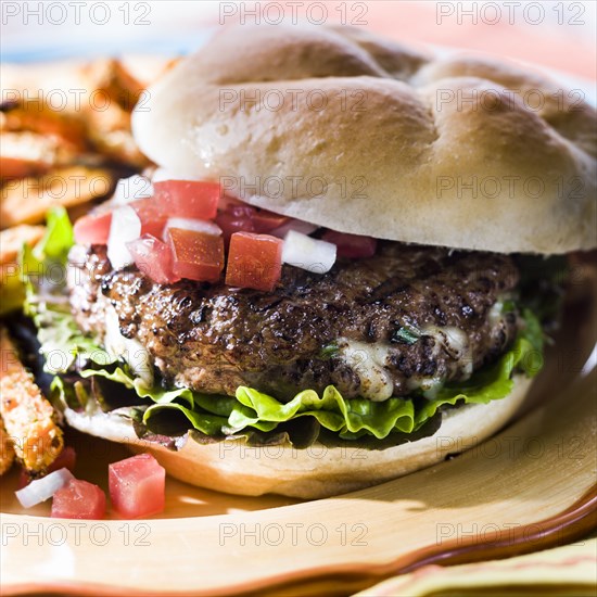 Stuffed mozzarella cheeseburger