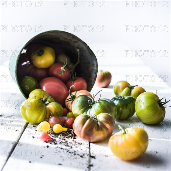 Fresh tomatoes on wooden table