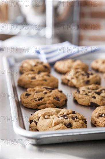 Tray of fresh chocolate chip cookies