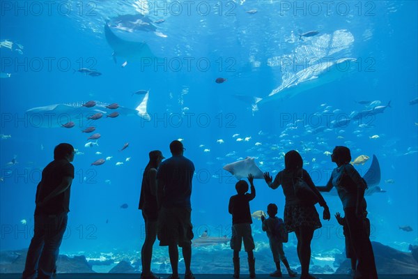 People admiring fish in aquarium