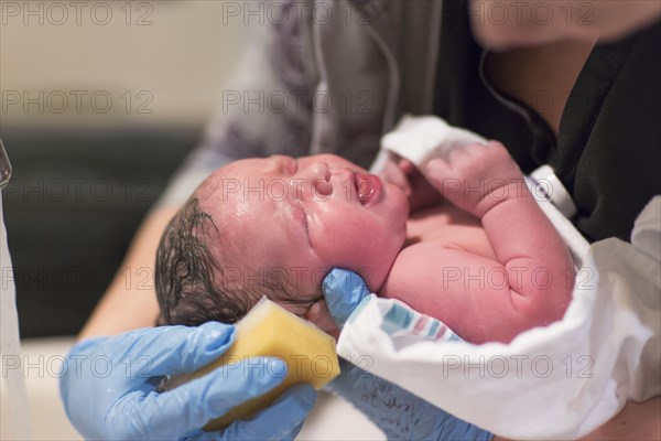 Caucasian newborn baby boy having bath