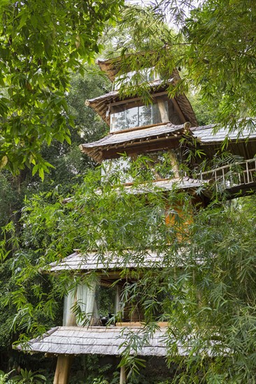 Bamboo trees around Balinese pagoda