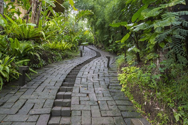 Stone pathway in tropical rainforest