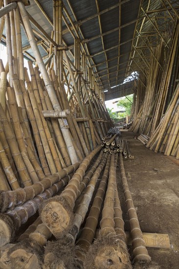 Bamboo trunks in factory