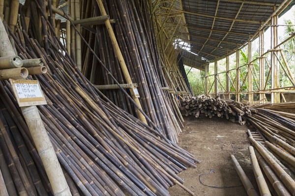 Bamboo trunks in factory