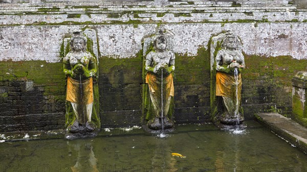 Moss growing over Hindu statues