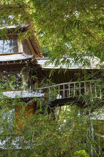 Bamboo treehouse