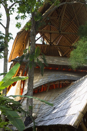 Bamboo treehouse