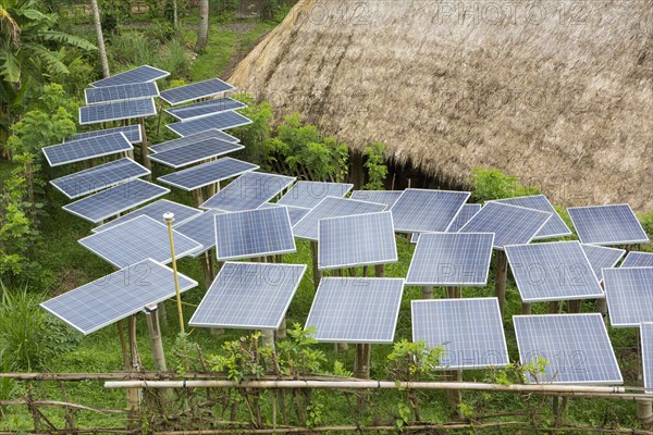 Solar panels in tropical garden