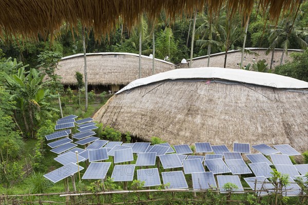 Solar panels in tropical garden