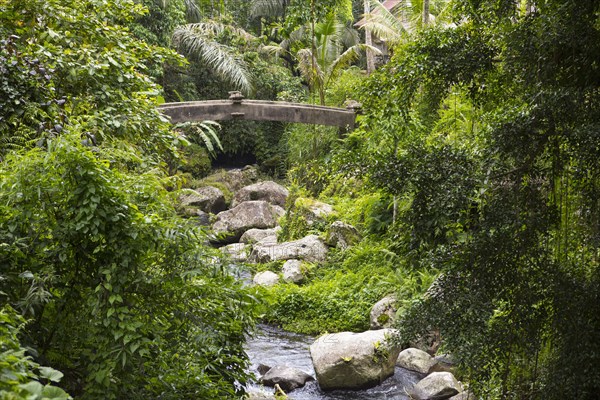 Rocky creek in tropical garden
