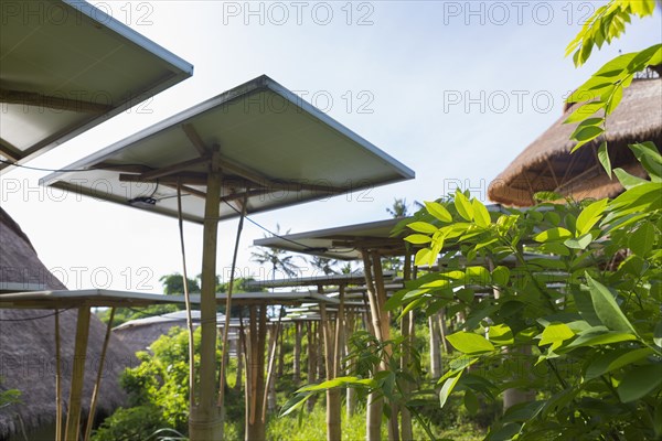 Solar panels in tropical garden