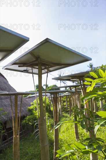 Solar panels in tropical garden