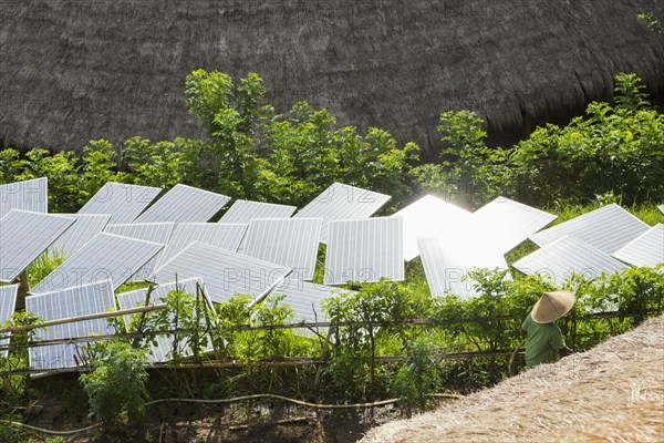 Solar panels in tropical garden