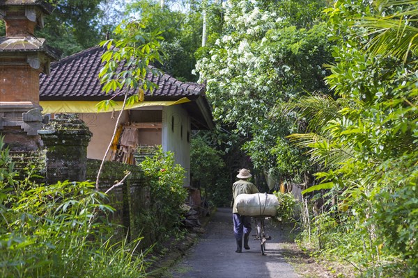 Man pushing bicycle on tropical path