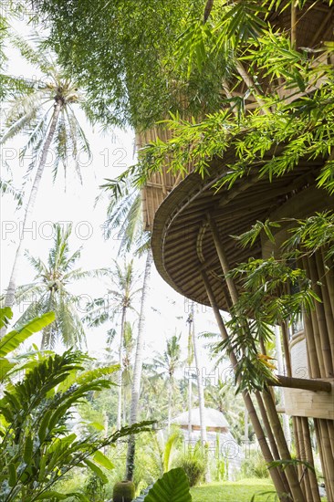 Treehouse in tropical garden