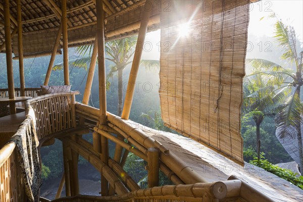 Sun shining on bamboo treehouse