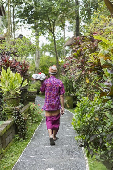 Balinese worker walking along path