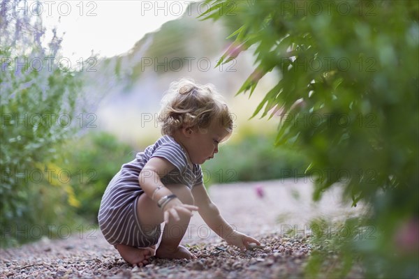 Caucasian baby boy exploring in garden