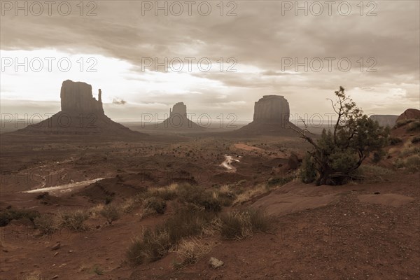 Rock formations in desert under cloudy sky