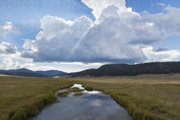Still river and grassy field in remote landscape