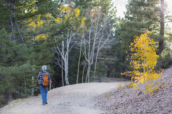 Caucasian hiker walking on dirt path in forest