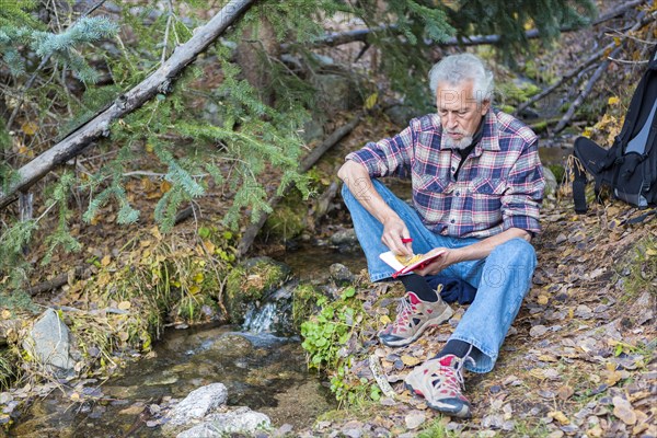 Caucasian hiker writing in forest