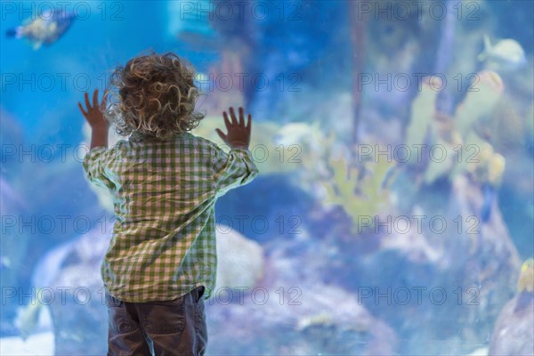 Caucasian baby boy admiring fish in aquarium