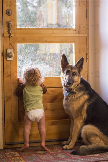 Caucasian baby and dog looking out window