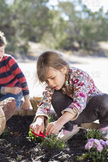 Children gardening in yard