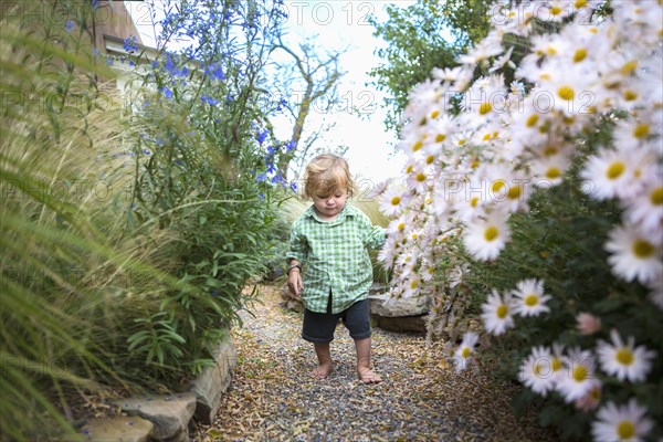 Caucasian baby boy walking in garden