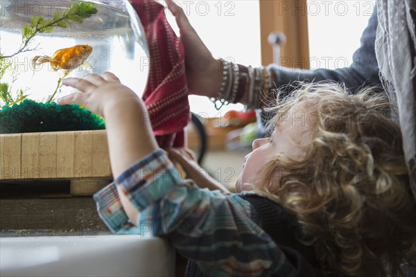 Caucasian mother and baby boy examining fishbowl