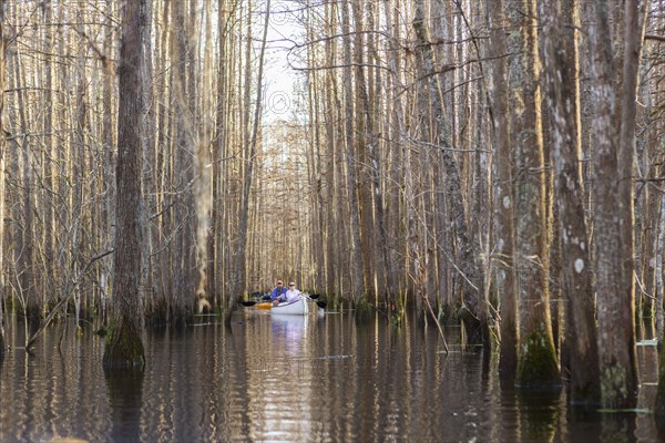 Caucasian men rowing canoes on river