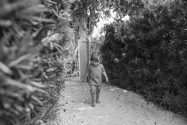 Caucasian baby boy walking in backyard