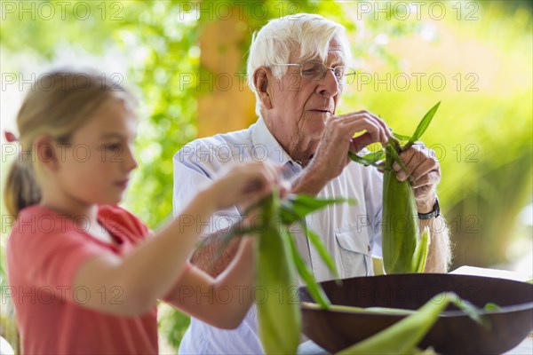 Caucasian grandfather and granddaughter shucking corn