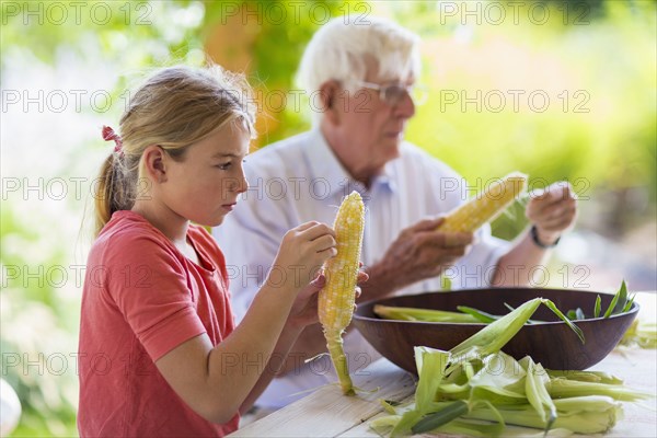 Caucasian grandfather and granddaughter shucking corn