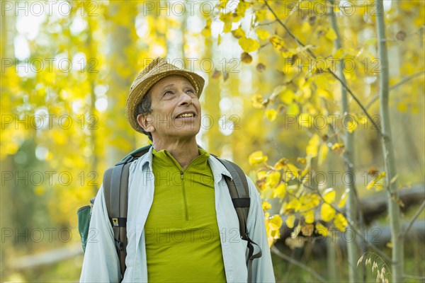 Man exploring autumn forest