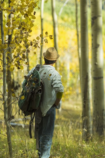 Man exploring autumn forest