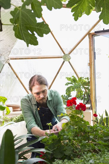 Caucasian gardener working in greenhouse