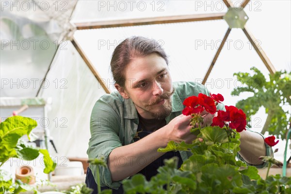 Caucasian gardener working in greenhouse