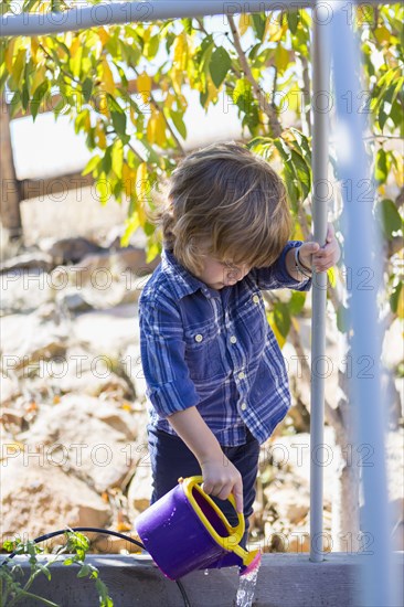 Caucasian boy watering plants in backyard