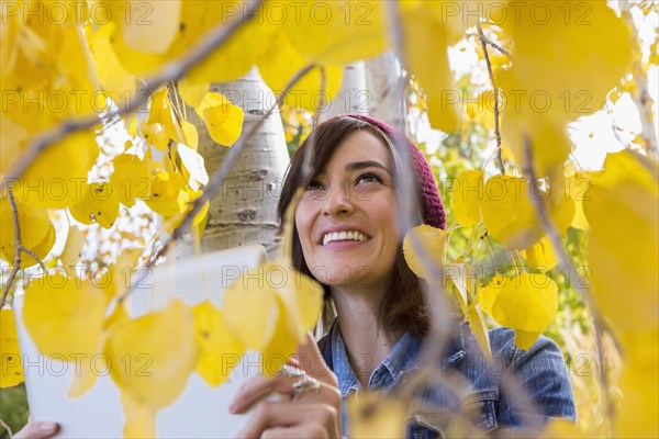 Hispanic woman writing in tree