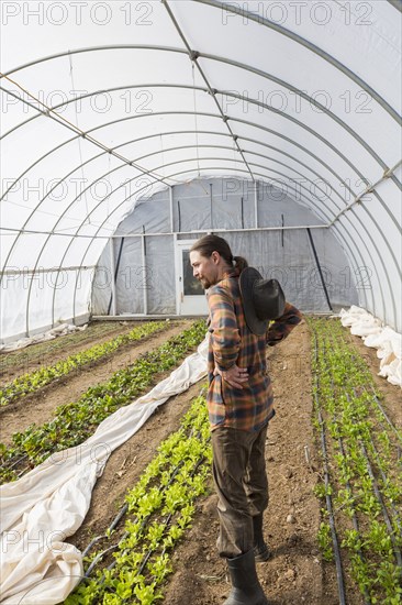 Caucasian farmer standing in greenhouse