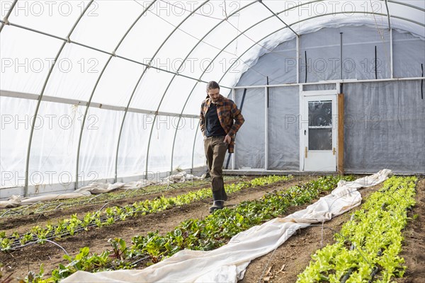 Caucasian farmer walking in greenhouse