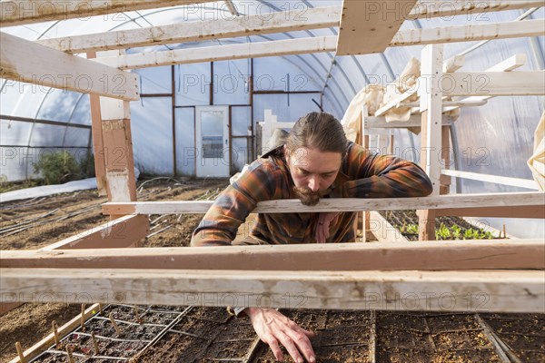 Caucasian farmer examining plants in greenhouse